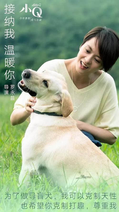 婚后房产证上加名字有用吗